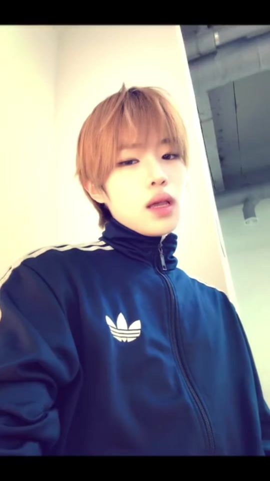 TikTok video thumbnail by pow_grid