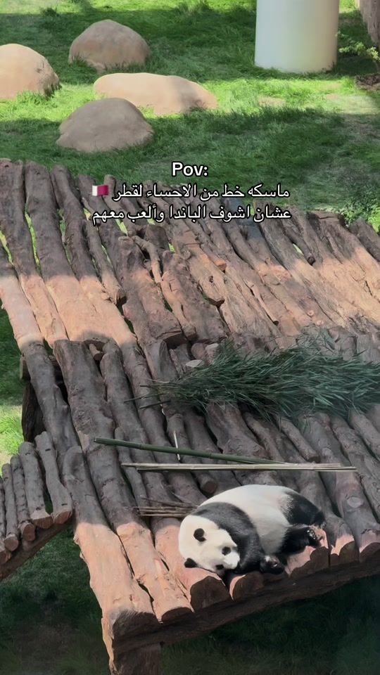 TikTok video thumbnail by rabab_travel