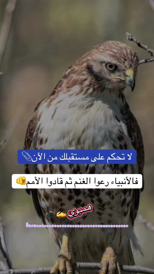 TikTok video thumbnail by httpsvt.tiktok.comzsmva8