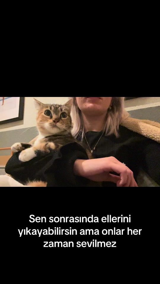 TikTok video thumbnail by cansinonall
