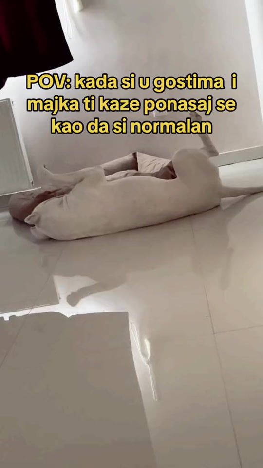 TikTok video thumbnail by gold_queen_d