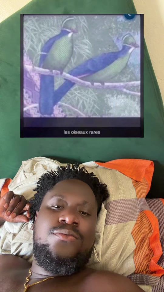 TikTok video thumbnail by kanlanmita_