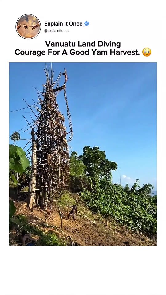 TikTok video thumbnail by ofc_curiosityx