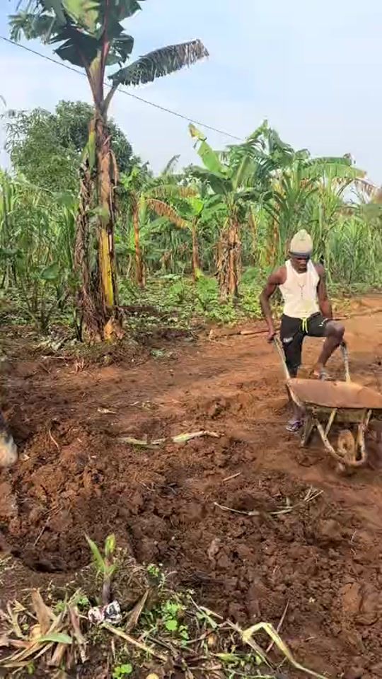 TikTok video thumbnail by mr.coffeeuganda