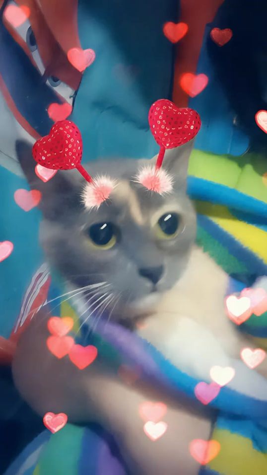 TikTok video thumbnail by erickagamer