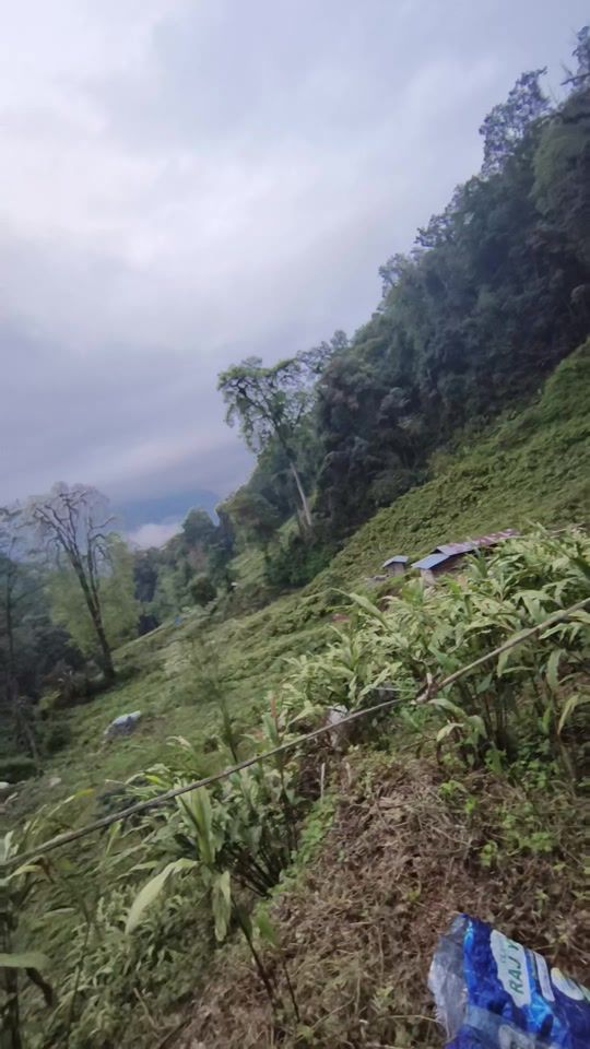 TikTok video thumbnail by oh.its_monu