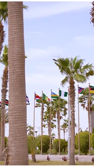 TikTok video thumbnail by bellewarmedia