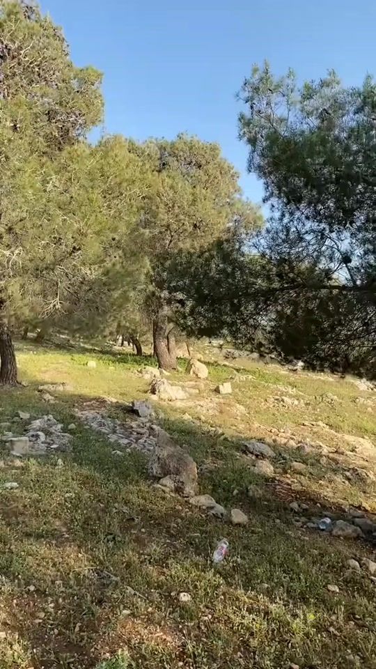 TikTok video thumbnail by doaa0803