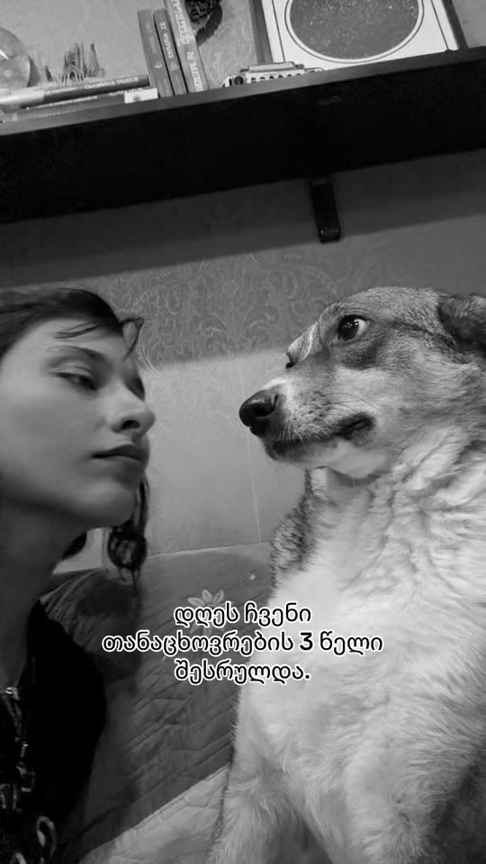 TikTok video thumbnail by ketoka