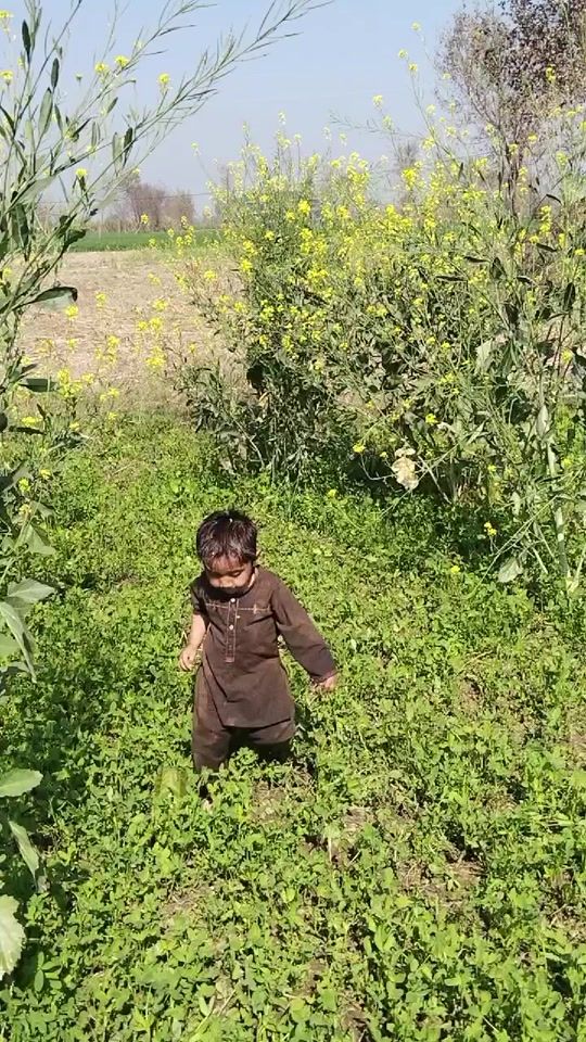 TikTok video thumbnail by ghani.kanjo