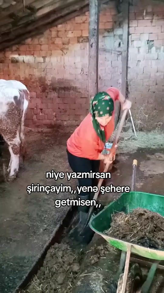 TikTok video thumbnail by siyah_.dunya7
