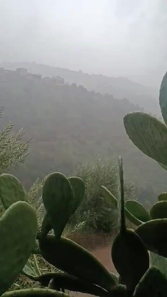 TikTok video thumbnail by thafsuth_