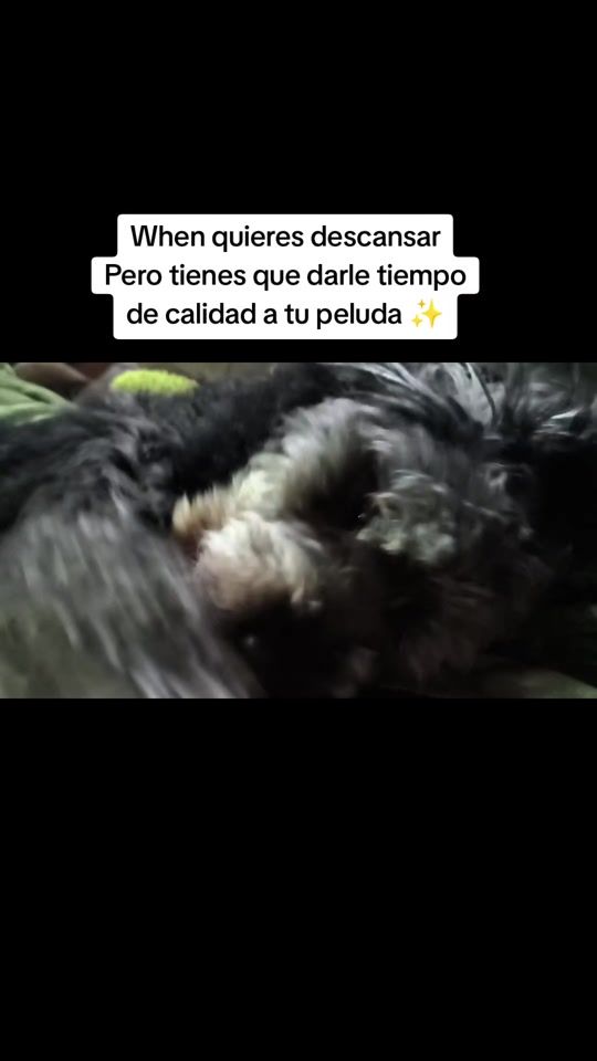 TikTok video thumbnail by victoriabeafm