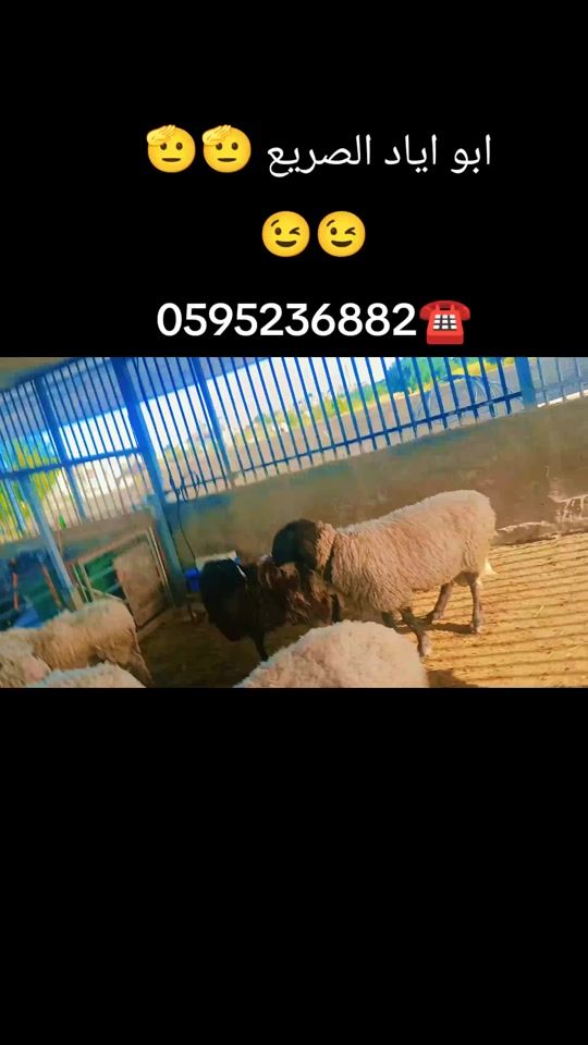 TikTok video thumbnail by mhmdayadalsry33gmail.co2