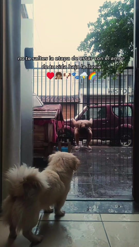 TikTok video thumbnail by vaniataborga7