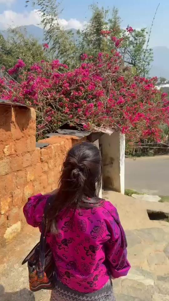 TikTok video thumbnail by twangmo2424gmail.com