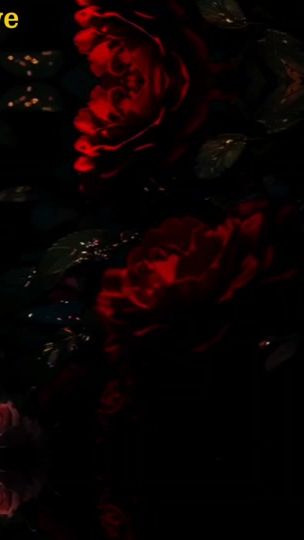 TikTok video thumbnail by qureshi.lyrics