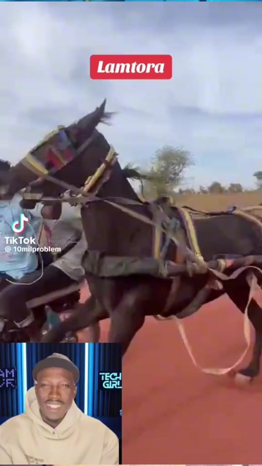 TikTok video thumbnail by diengsaala83