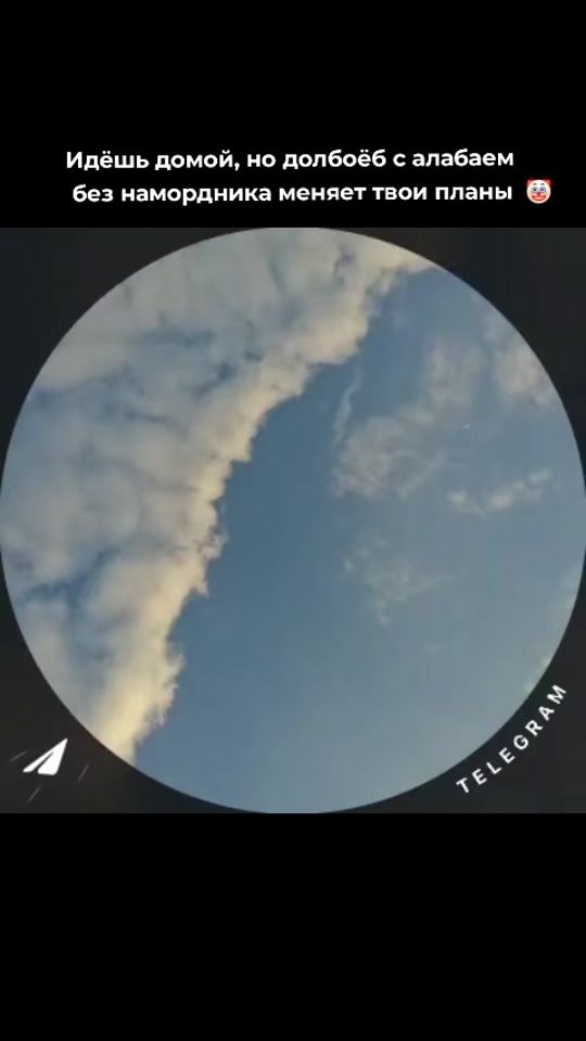 TikTok video thumbnail by borislov_dog