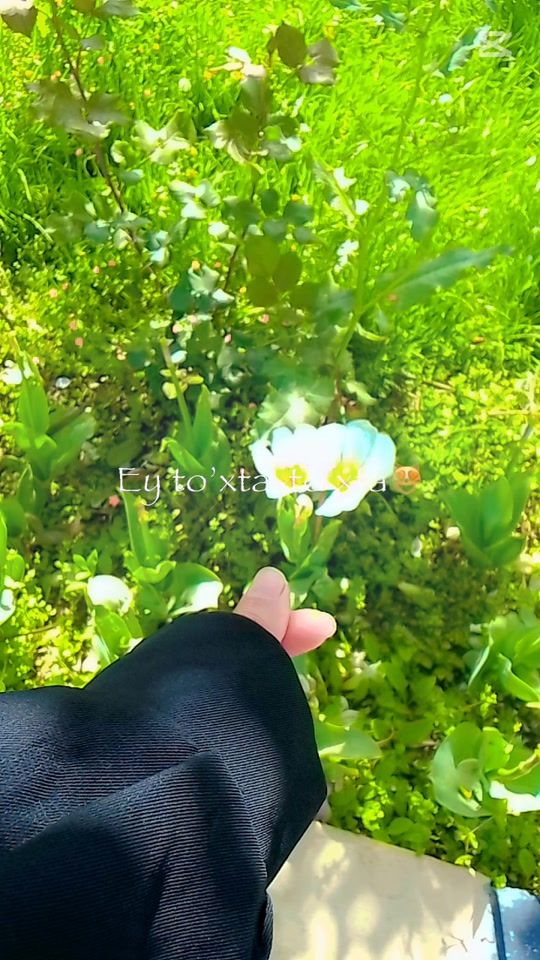 TikTok video thumbnail by gulicha_medik