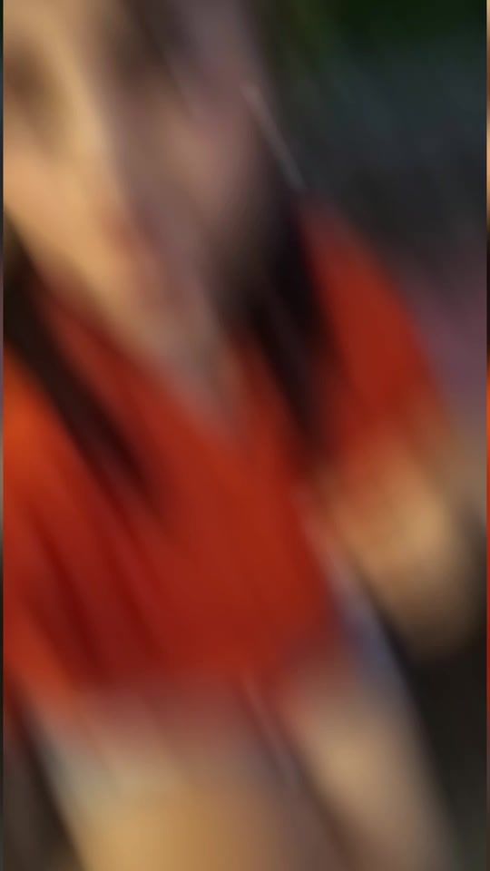 TikTok video thumbnail by martrigoso