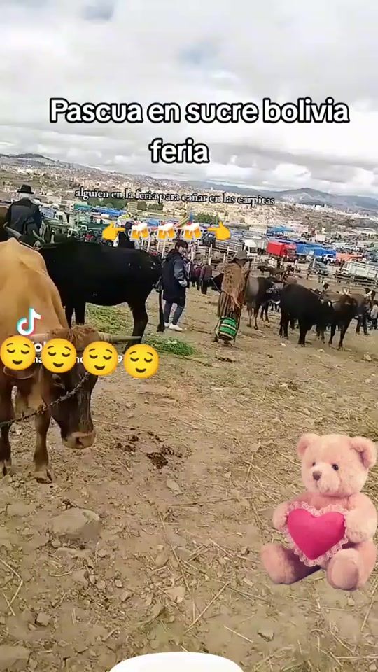 TikTok video thumbnail by daniela77533