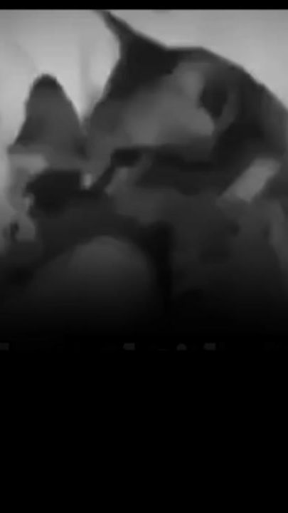 TikTok video thumbnail by moha__yare2023