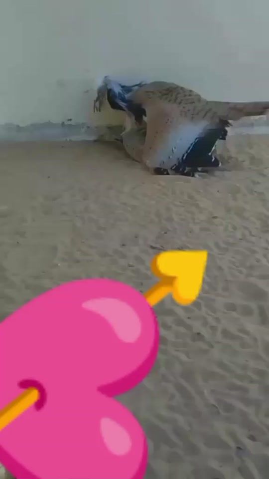 TikTok video thumbnail by us120mw
