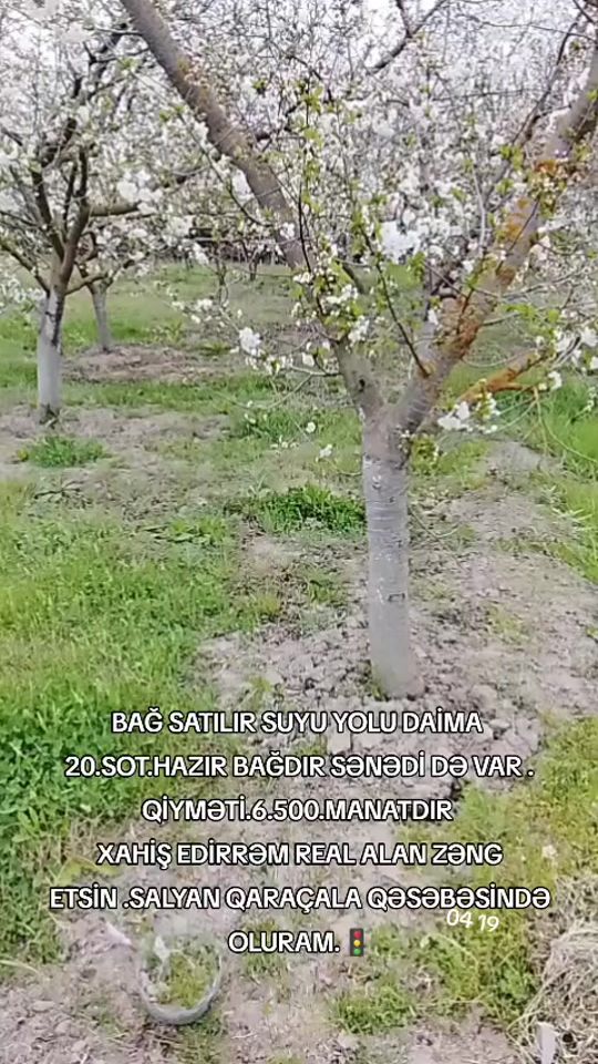 TikTok video thumbnail by ikincel_salyan_seva
