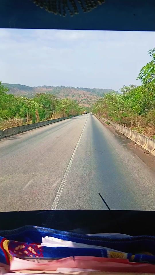 TikTok video thumbnail by future.cur.lion