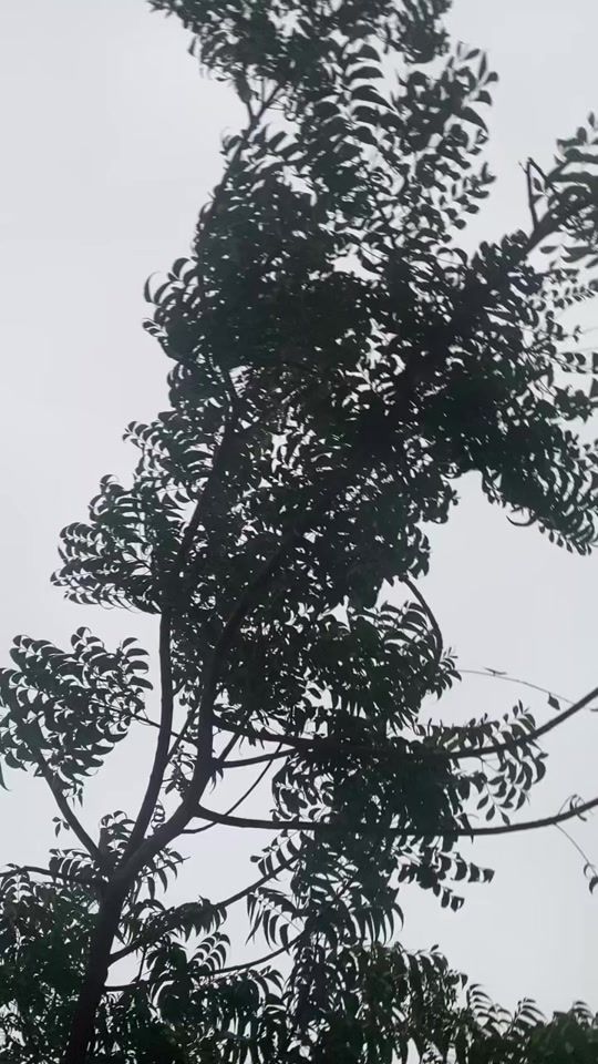 TikTok video thumbnail by il.a.il1h