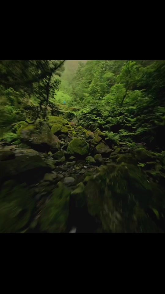 TikTok video thumbnail by boi_clema