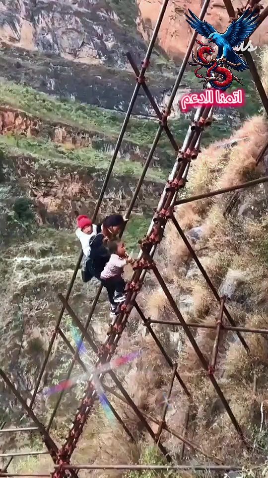 TikTok video thumbnail by wtqi2518