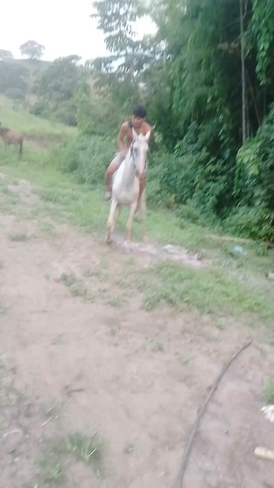 TikTok video thumbnail by luis.borja590