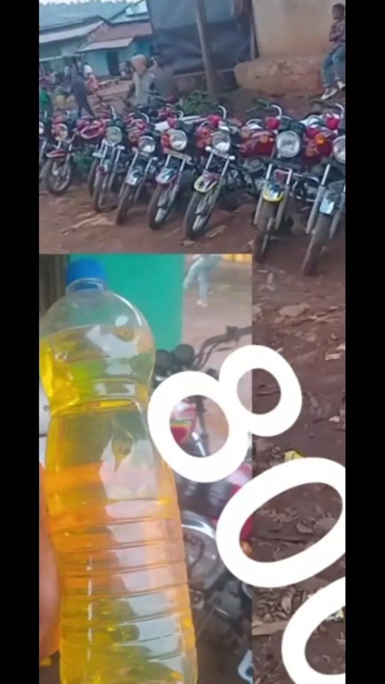 TikTok video thumbnail by mysalamoni2