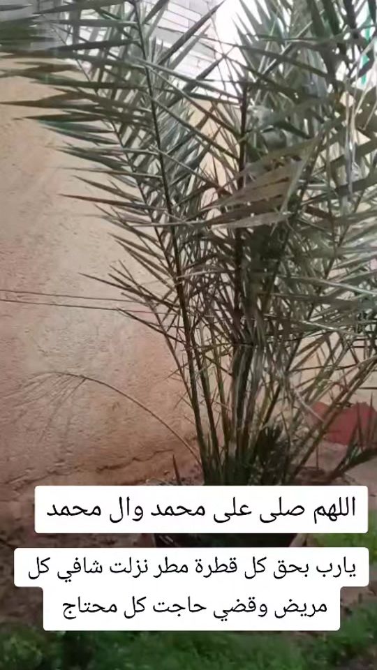 TikTok video thumbnail by user6813971559395