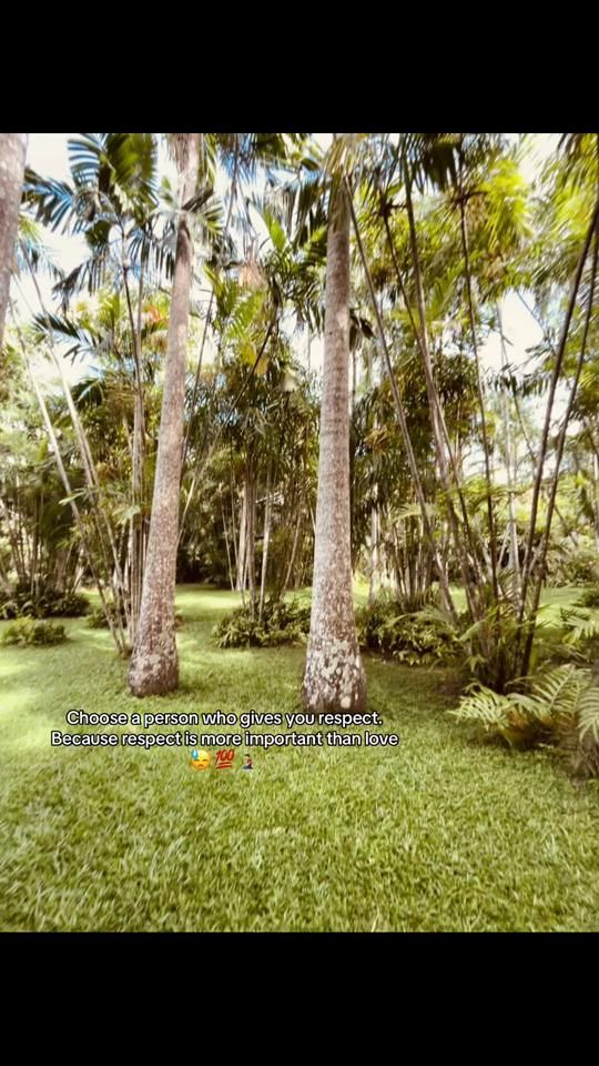 TikTok video thumbnail by pineapple.bowy5