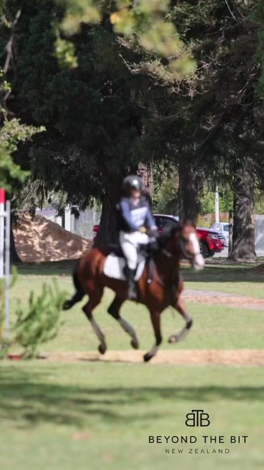 TikTok video thumbnail by btbequestrian