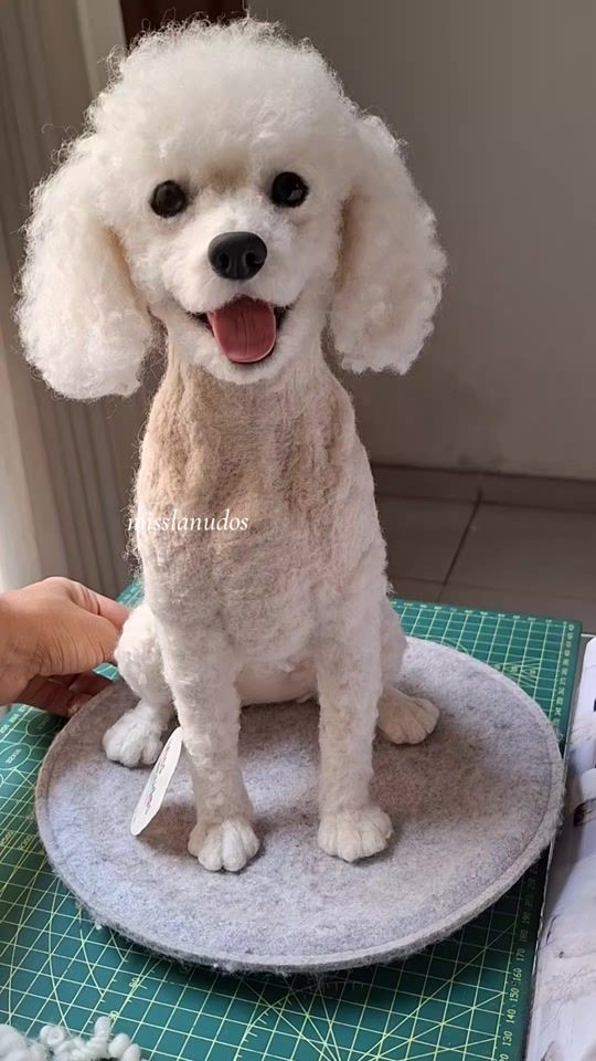 TikTok video thumbnail by misslanudos