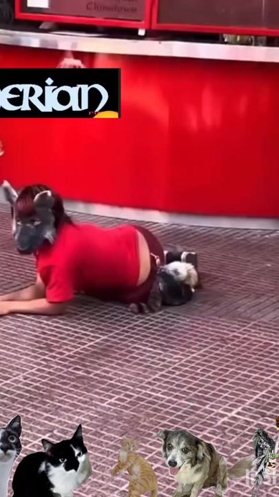 TikTok video thumbnail by yesnerthehawk