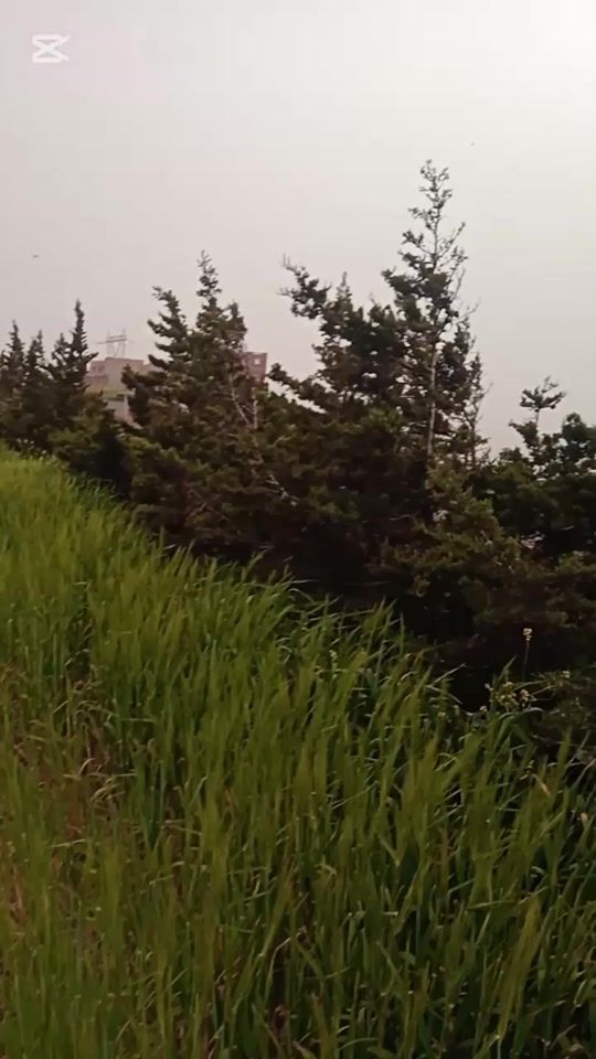 TikTok video thumbnail by nasrawi.46