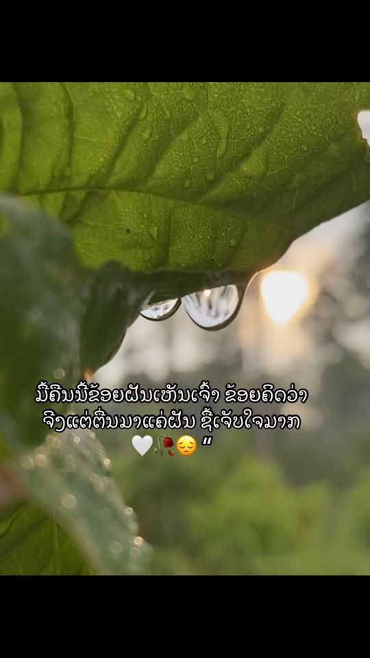 TikTok video thumbnail by .3.23.k