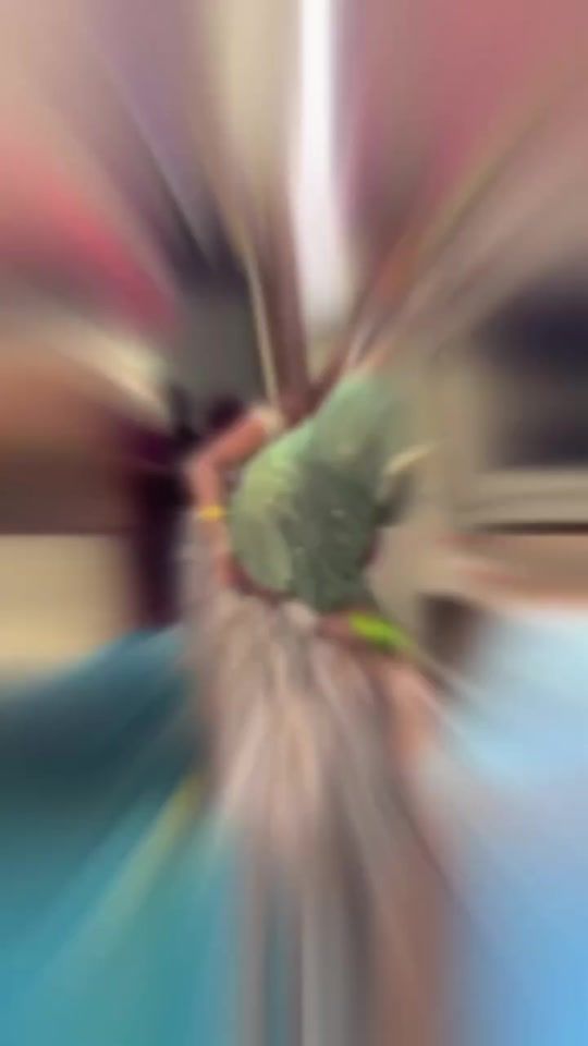TikTok video thumbnail by sultank944