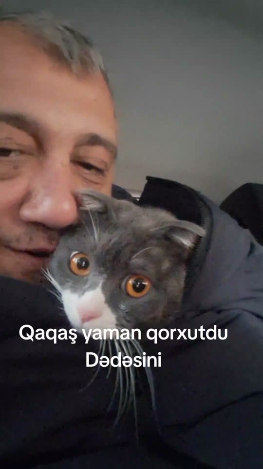 TikTok video thumbnail by faik.elekberov.1976