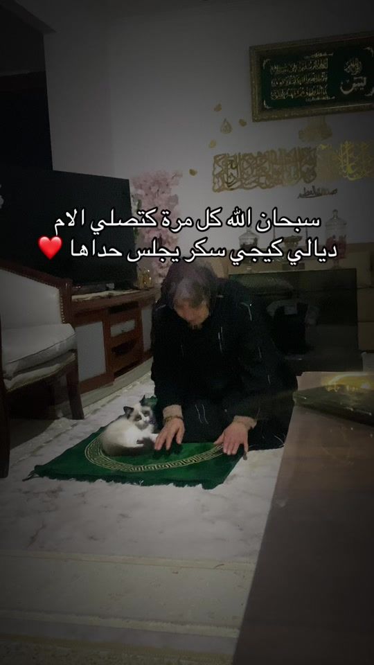 TikTok video thumbnail by mlle__tamazighet1