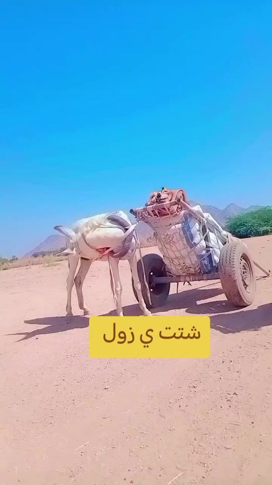 TikTok video thumbnail by sabir.osman7