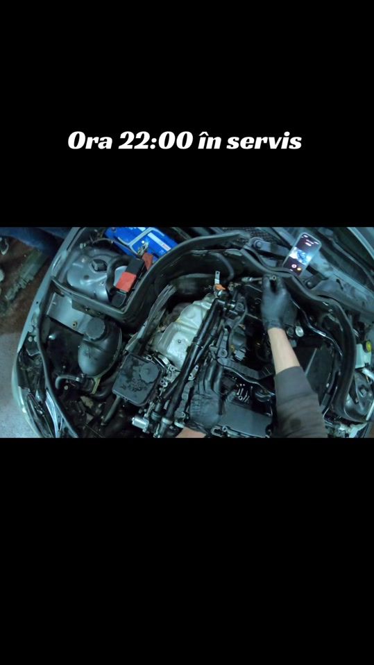 TikTok video thumbnail by gheorghe_garaba