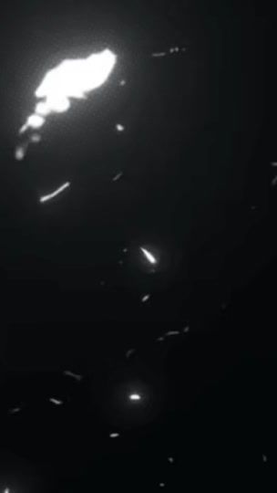 TikTok video thumbnail by taekhi7