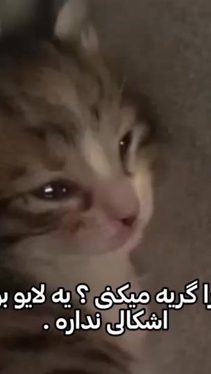 TikTok video thumbnail by vearoe