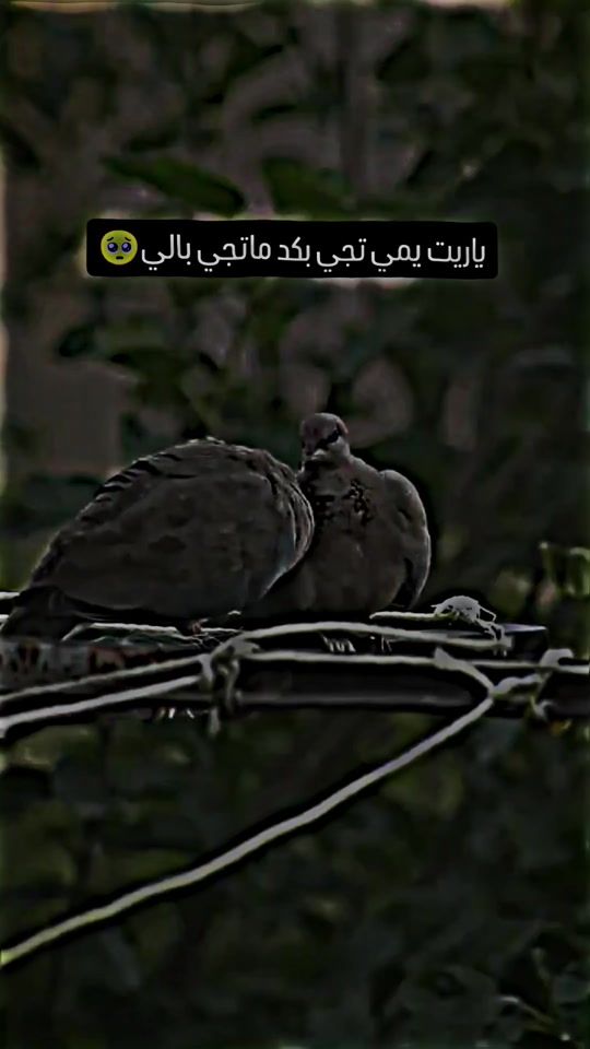 TikTok video thumbnail by _fl__3